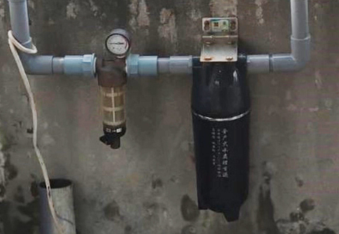 대만의 자연식품 사장